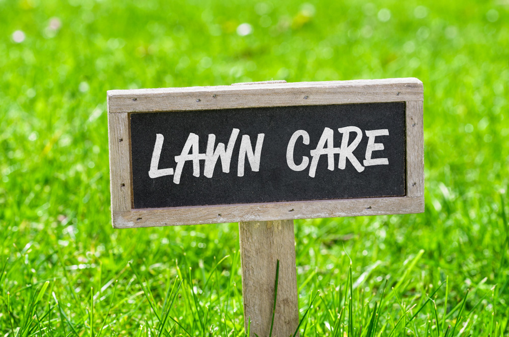lawn care services sign