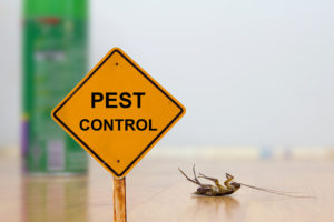 Idaho Falls Pest Control Services