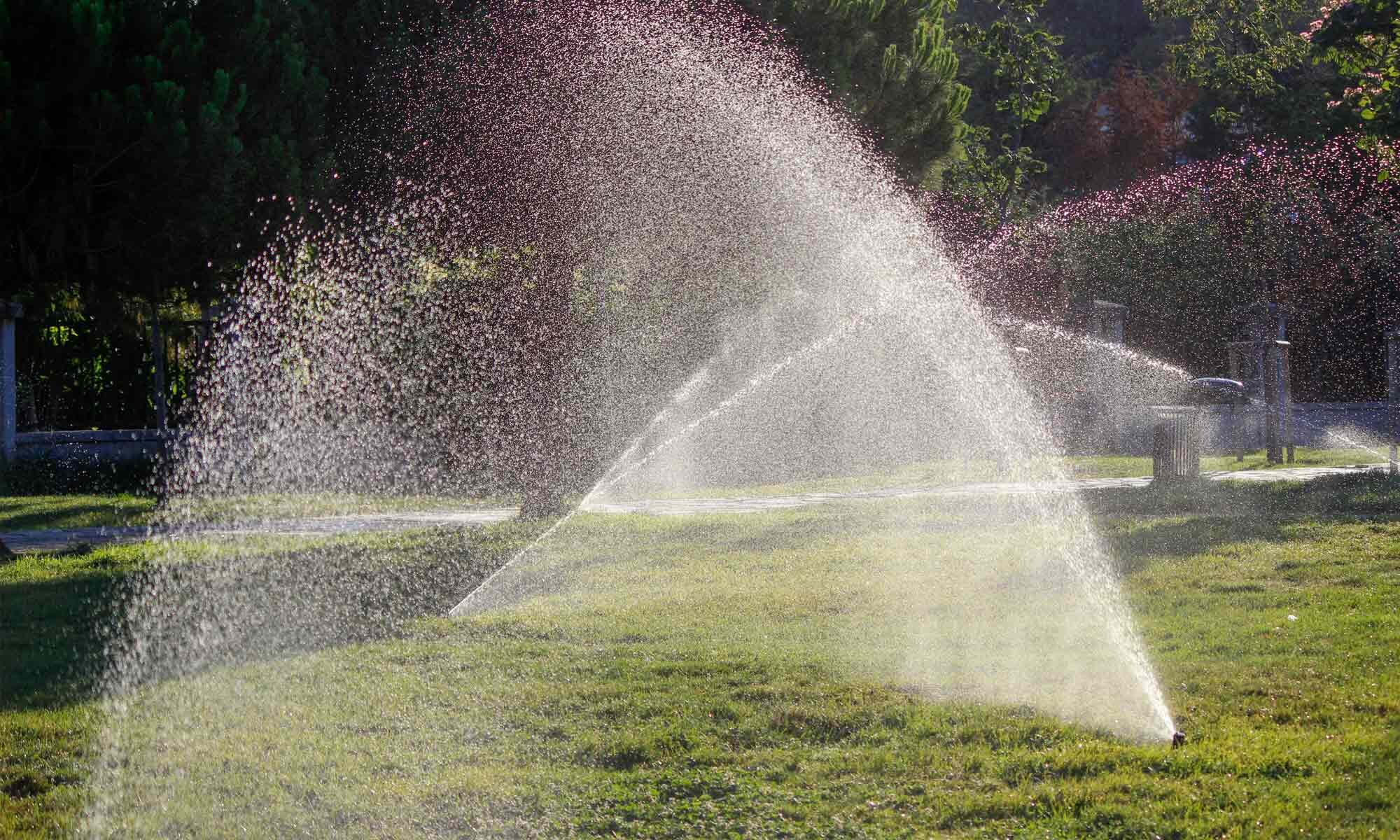 Sprinklers watering grass