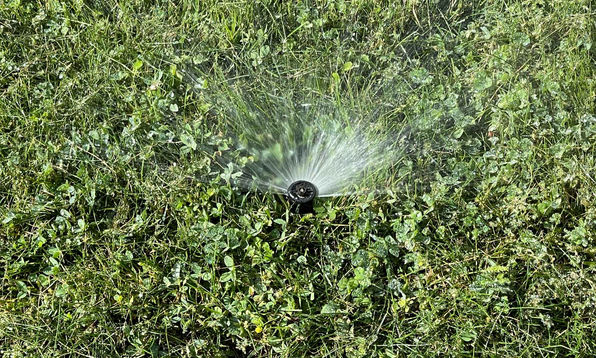 Yard Sprinkler in East Idaho - Featured Image
