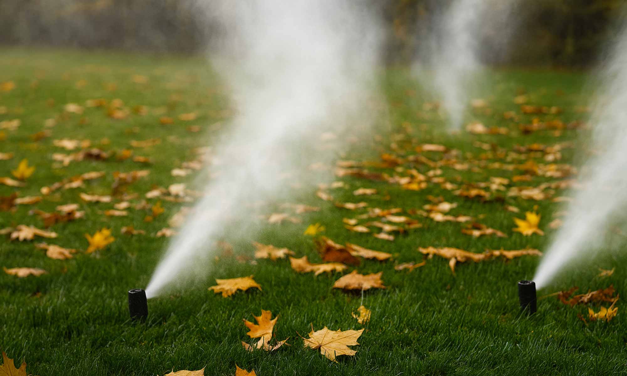Sprinkler Winterization