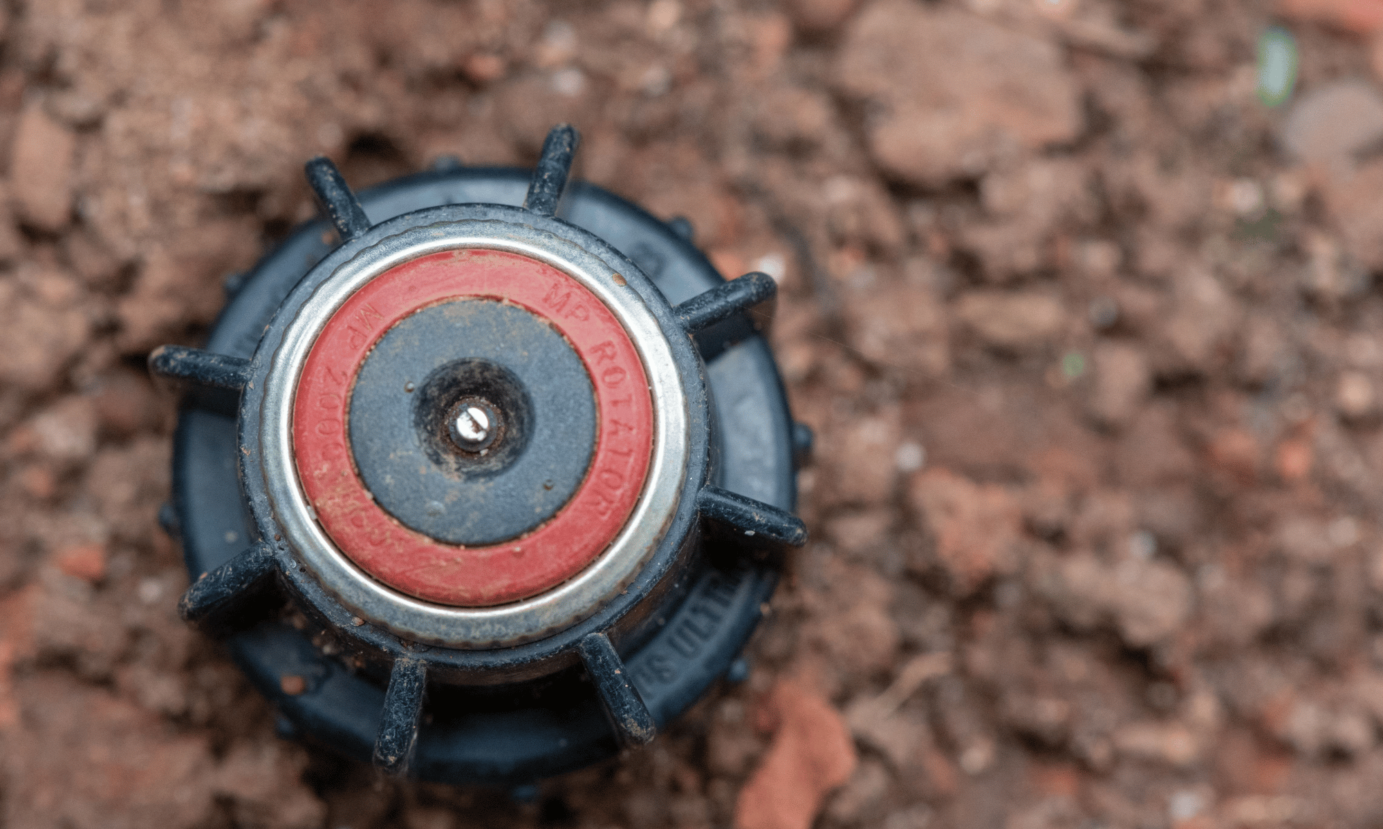 Sprinkler Head